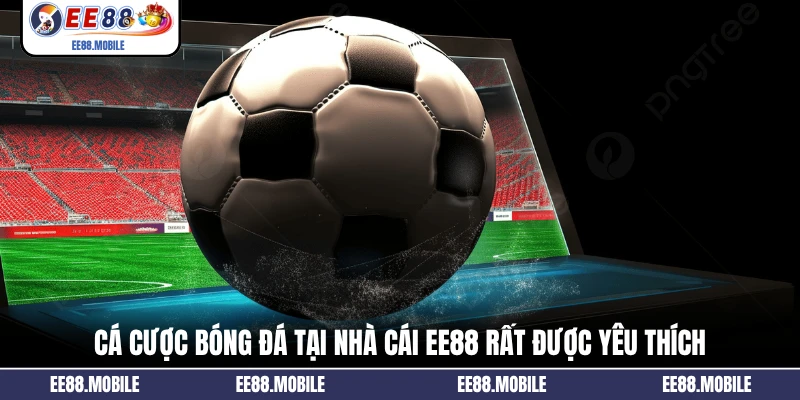 Cá cược bóng đá tại nhà cái EE88 rất được yêu thích
