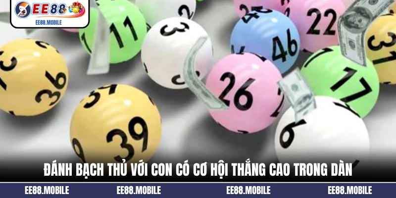 Đánh bạch thủ với con có cơ hội thắng cao trong dàn